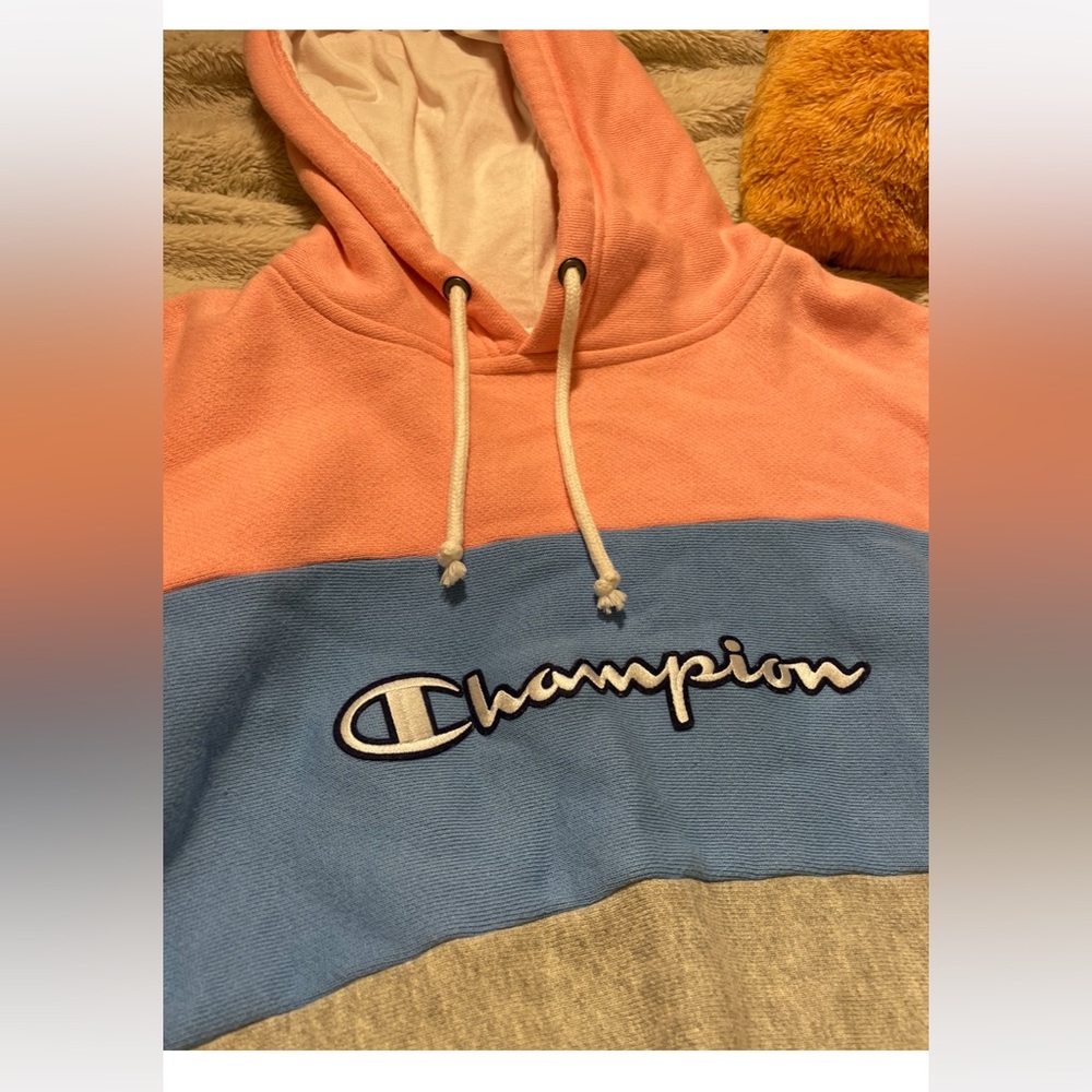 EUC Champion Bell Sleeve Revere Weave Hoodie - Picture 3 of 4